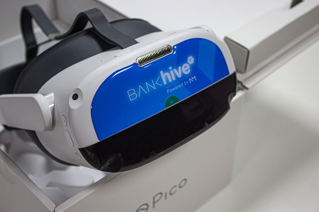 Bank Hive Pico Neo3 Pro Headset